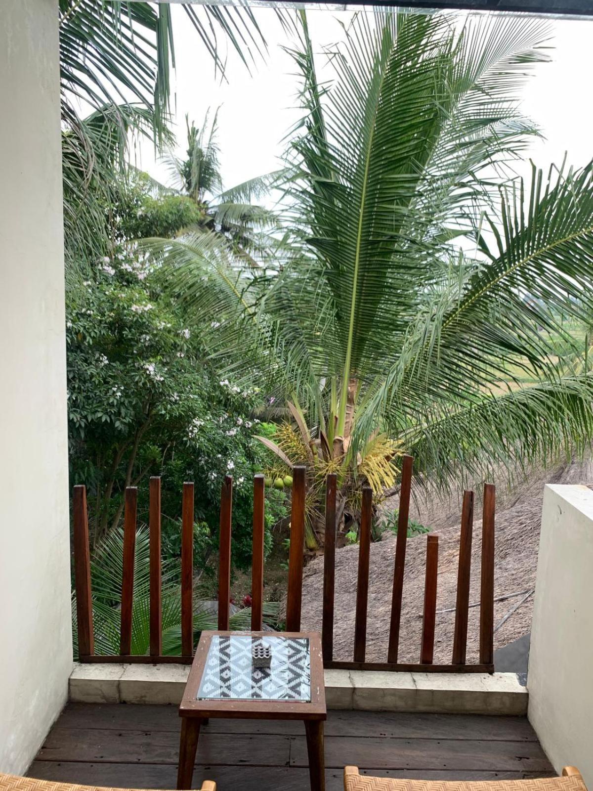 Executive Double Room Rice Field View