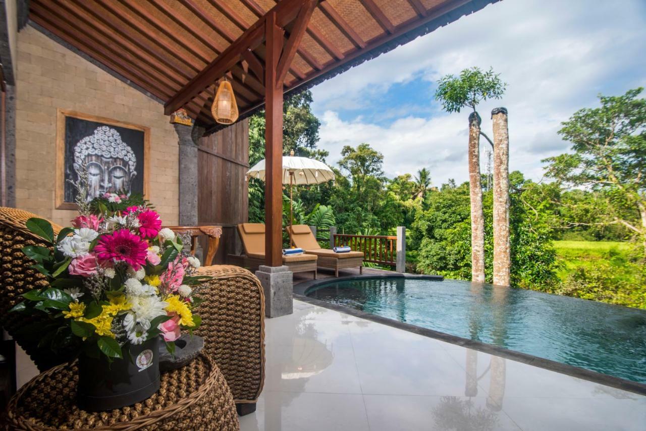 One Bedroom Villa Private Pool & Rice Field View,1580813901:JPEG