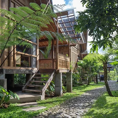 Rumah Kayu Resort-3