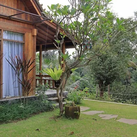 Bucu View Resort-3